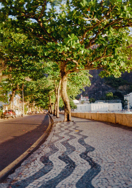 Urca